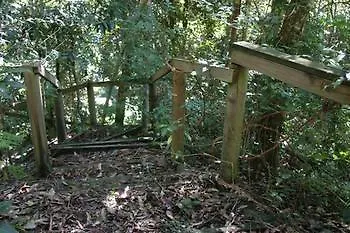 Lyola Pavilions In The Forest Villa Maleny